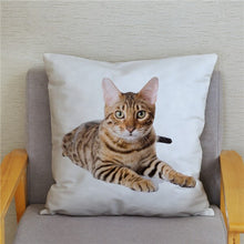 Load image into Gallery viewer, Cute Bengal Cat Print Cushion Cover 45*45 Pillow Covers Super Soft Plush Throw Pillow Case Car Sofa Home Decor Square Pillowcase