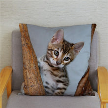 Load image into Gallery viewer, Cute Bengal Cat Print Cushion Cover 45*45 Pillow Covers Super Soft Plush Throw Pillow Case Car Sofa Home Decor Square Pillowcase