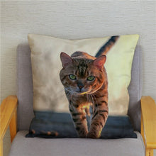 Load image into Gallery viewer, Cute Bengal Cat Print Cushion Cover 45*45 Pillow Covers Super Soft Plush Throw Pillow Case Car Sofa Home Decor Square Pillowcase