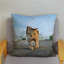 Load image into Gallery viewer, Cute Bengal Cat Print Cushion Cover 45*45 Pillow Covers Super Soft Plush Throw Pillow Case Car Sofa Home Decor Square Pillowcase