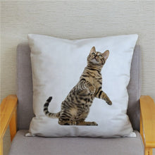 Load image into Gallery viewer, Cute Bengal Cat Print Cushion Cover 45*45 Pillow Covers Super Soft Plush Throw Pillow Case Car Sofa Home Decor Square Pillowcase