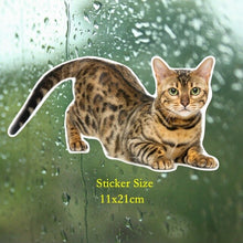 Load image into Gallery viewer, Tri Mishki WCS629 11x21cm Bengal cat Siberian cat funny car stickers auto automobile decals