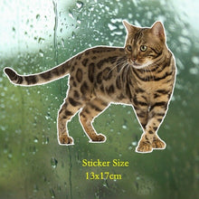 Load image into Gallery viewer, Tri Mishki WCS629 11x21cm Bengal cat Siberian cat funny car stickers auto automobile decals